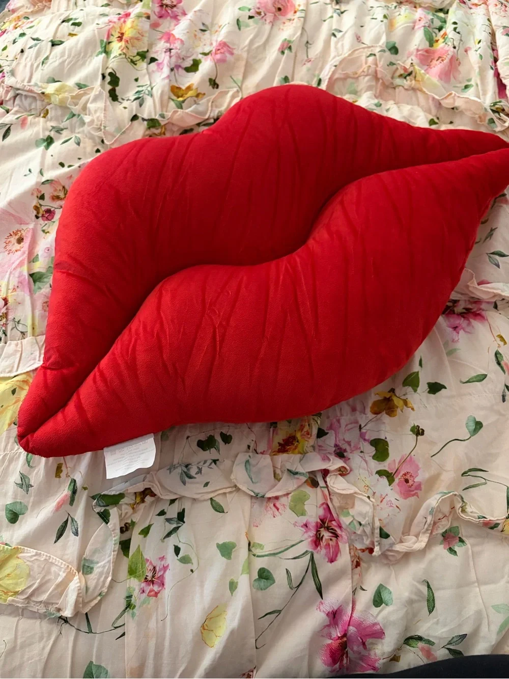 Red Lips Pillow Accent Cushion